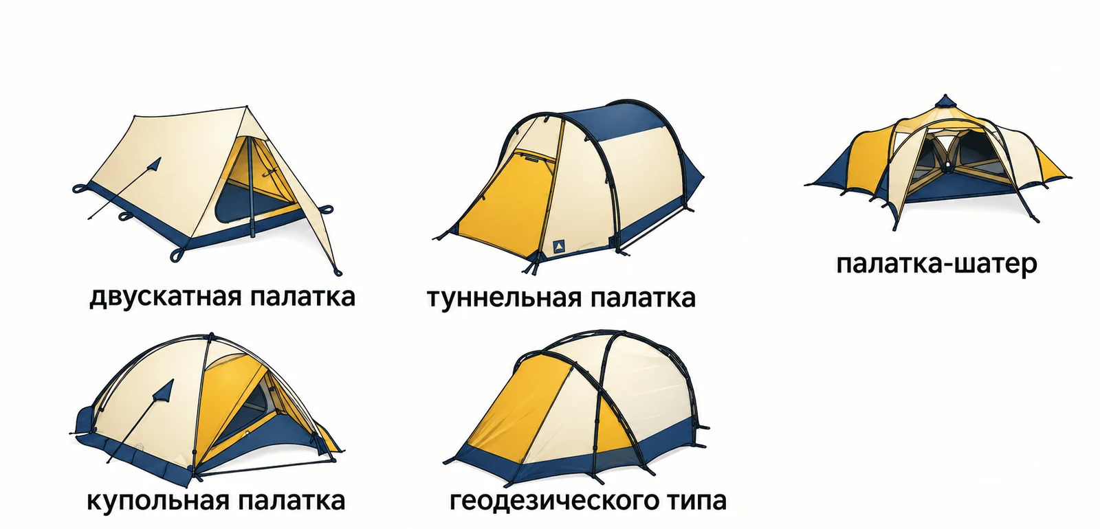 Пять форм палаток: двускатная, туннельная, шатёр, купольная и геодезическая