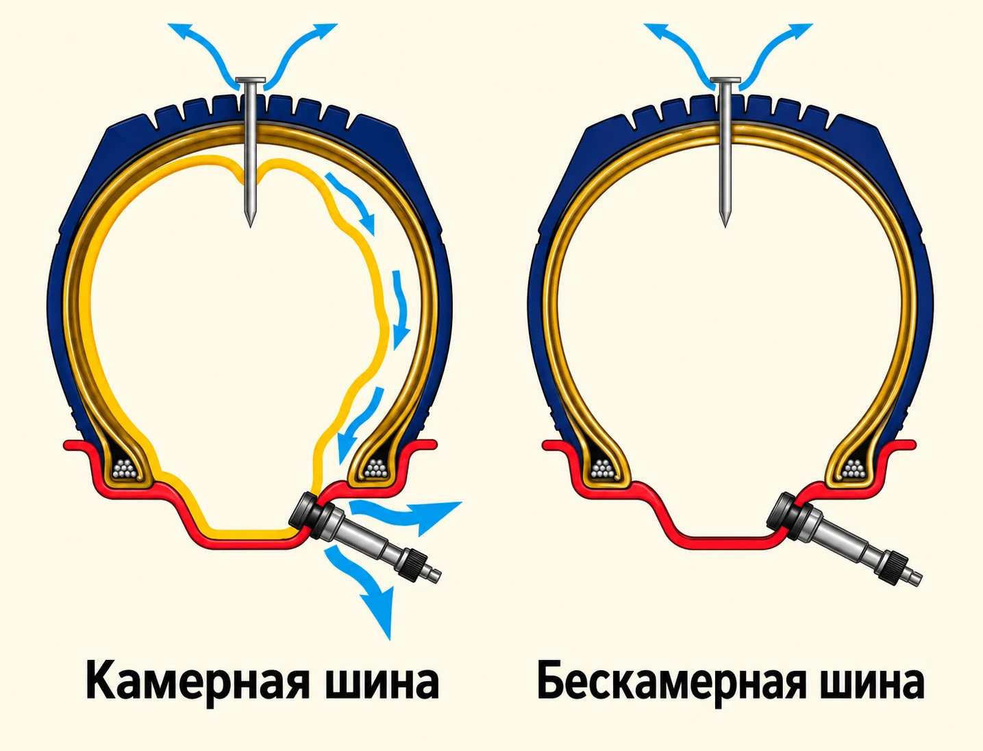 Сравнение камерной и бескамерной шины в разрезе